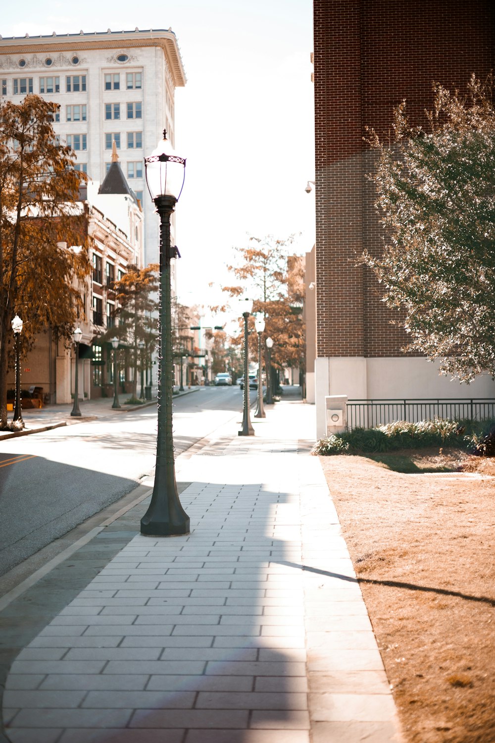 a street light sitting on the side of a road