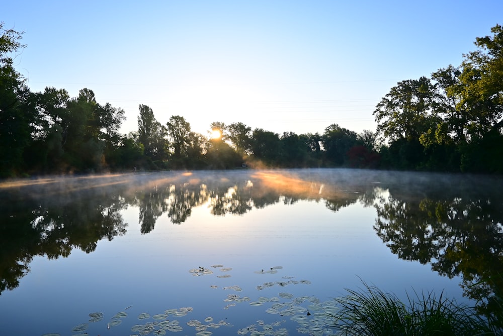 a body of water surrounded by trees and mist