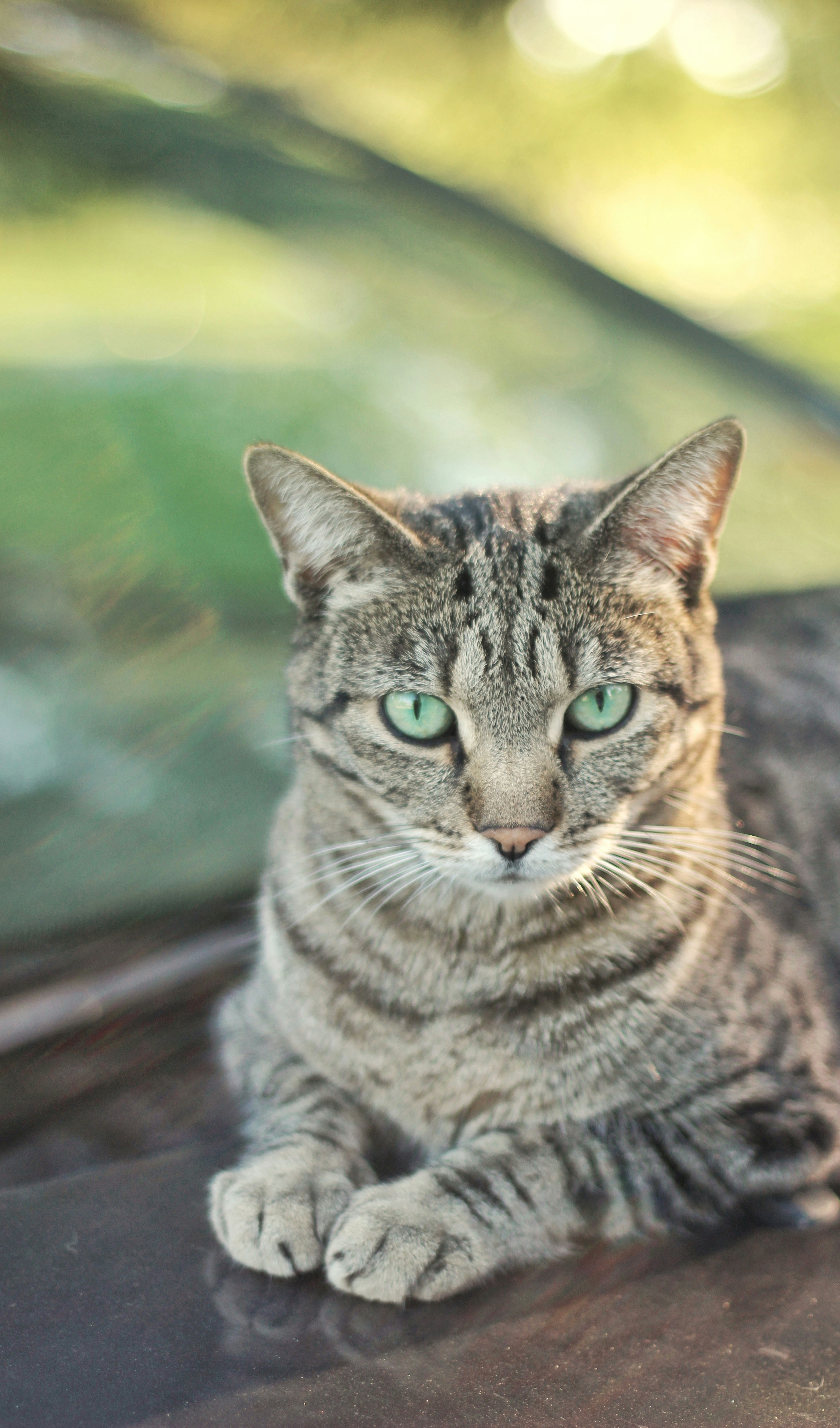 Photo by ri_photography