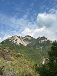a view of a mountain range from a trail