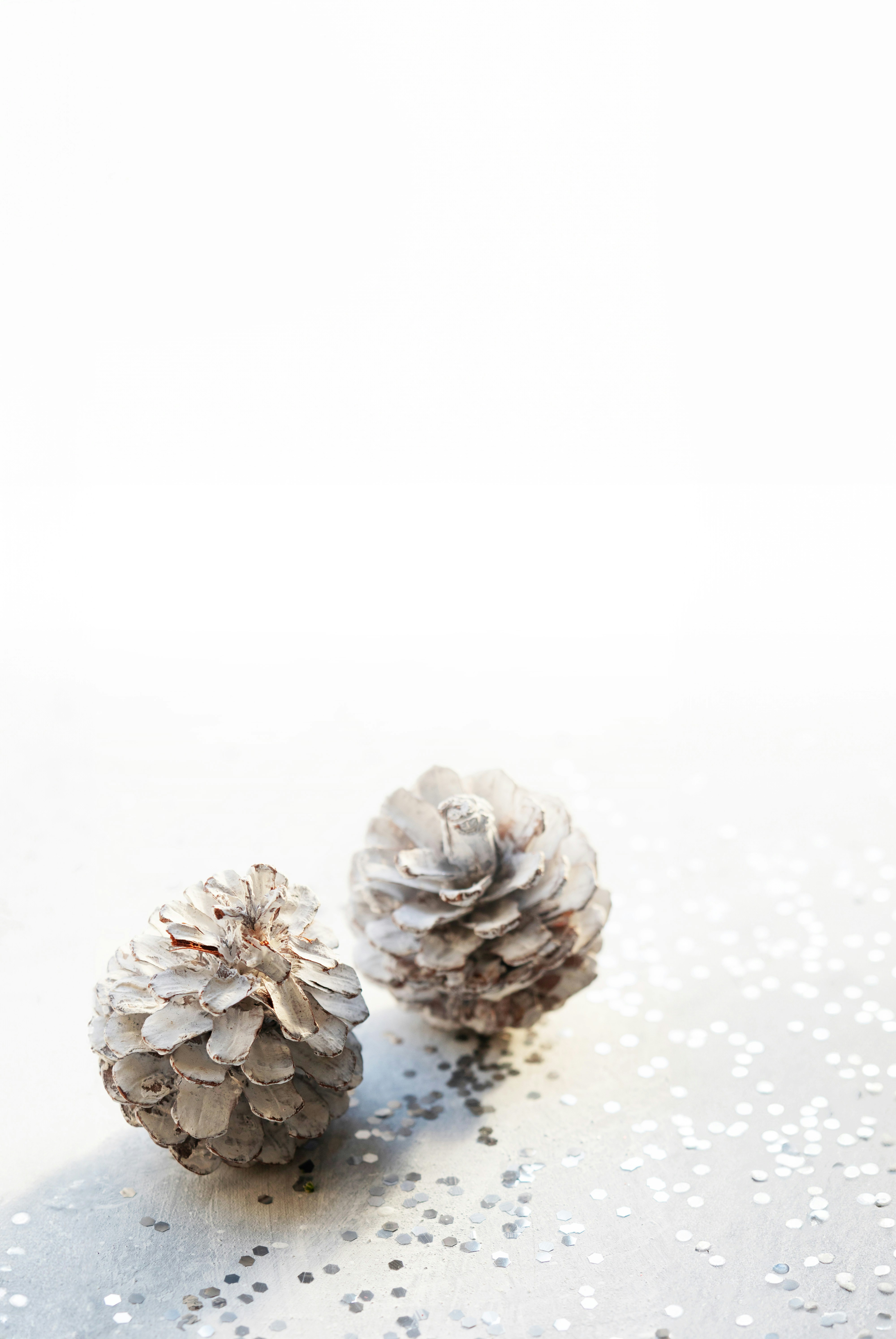 christmas pine cone wallpaper, wallpaper, Pine Cone Crafts for Christmas: Adult Ideas 5
