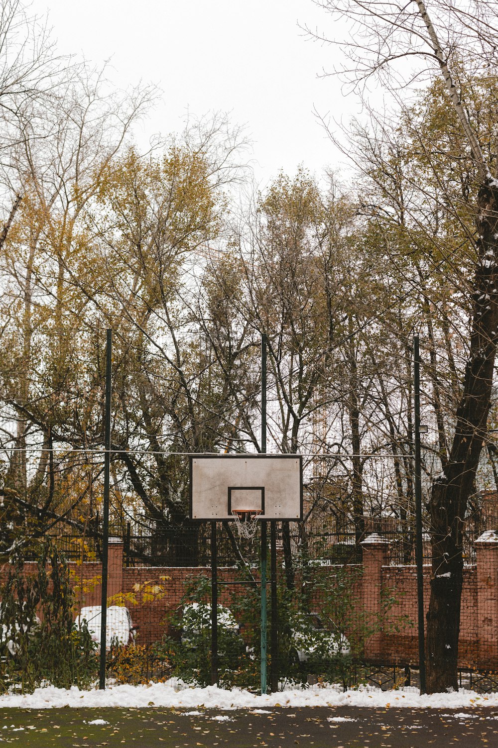 눈 덮인 공원 한가운데에 있는 농구 골대