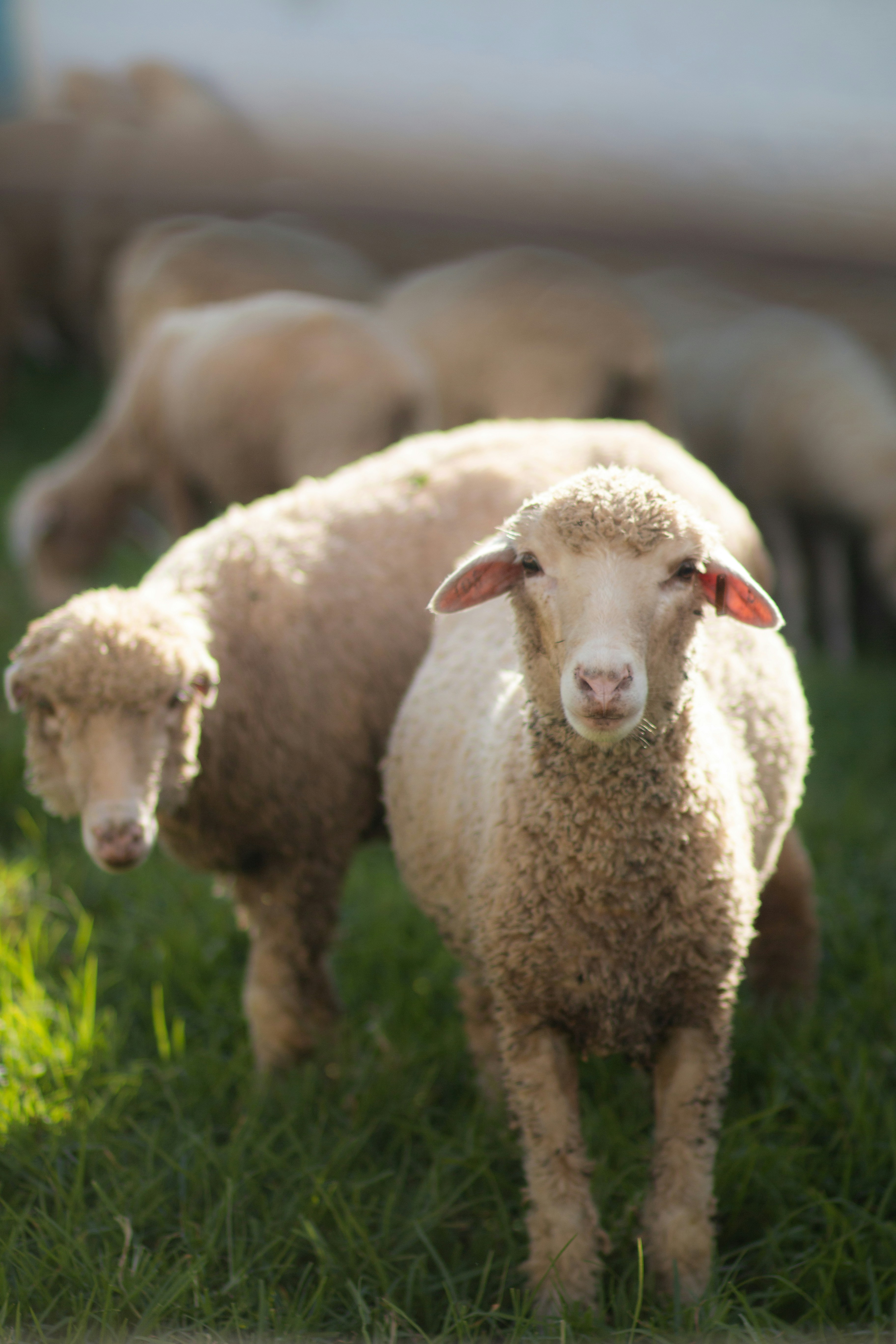 Photo by pon_esakki_sundar