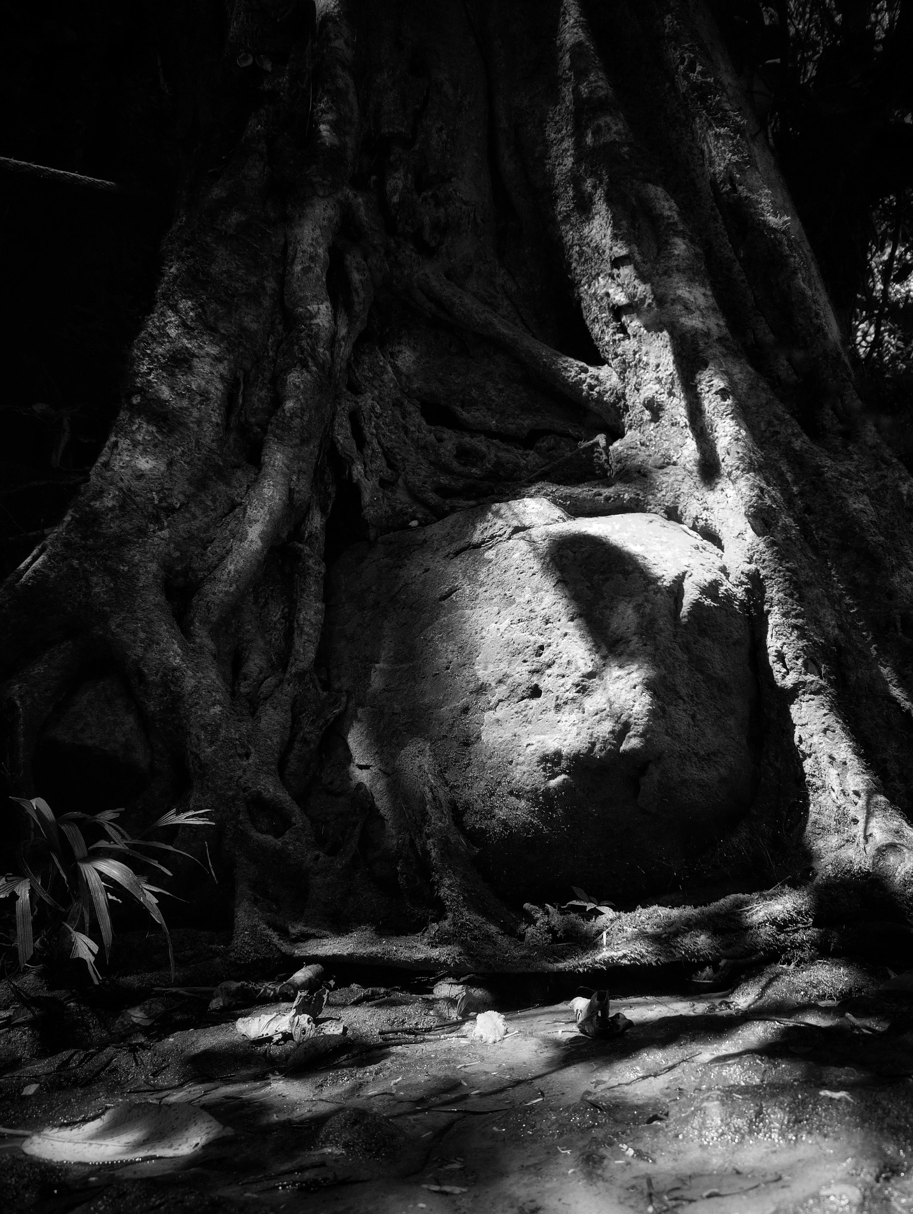 Photo by c_los_randmeye