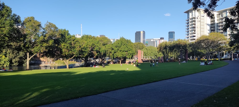 a park with people sitting and walking on the grass