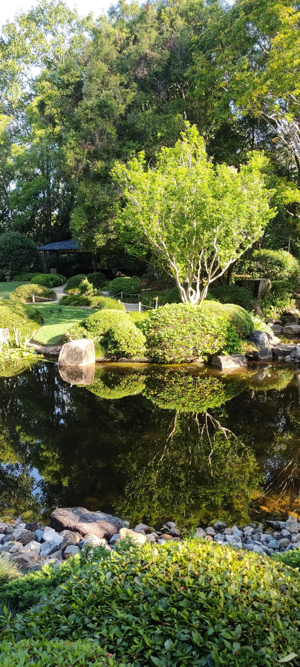 a small pond surrounded by rocks and trees