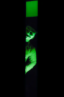 Close-up of a terrified visitor's face illuminated by a ghostly green glow.