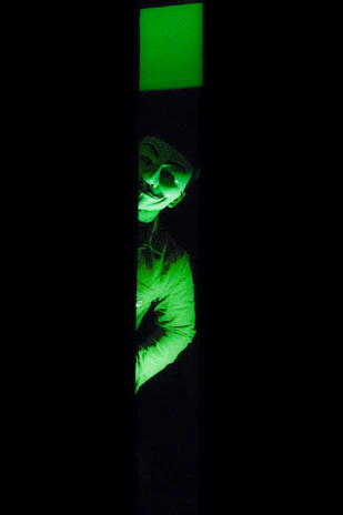 Close-up of a terrified visitor's face illuminated by a ghostly green glow.