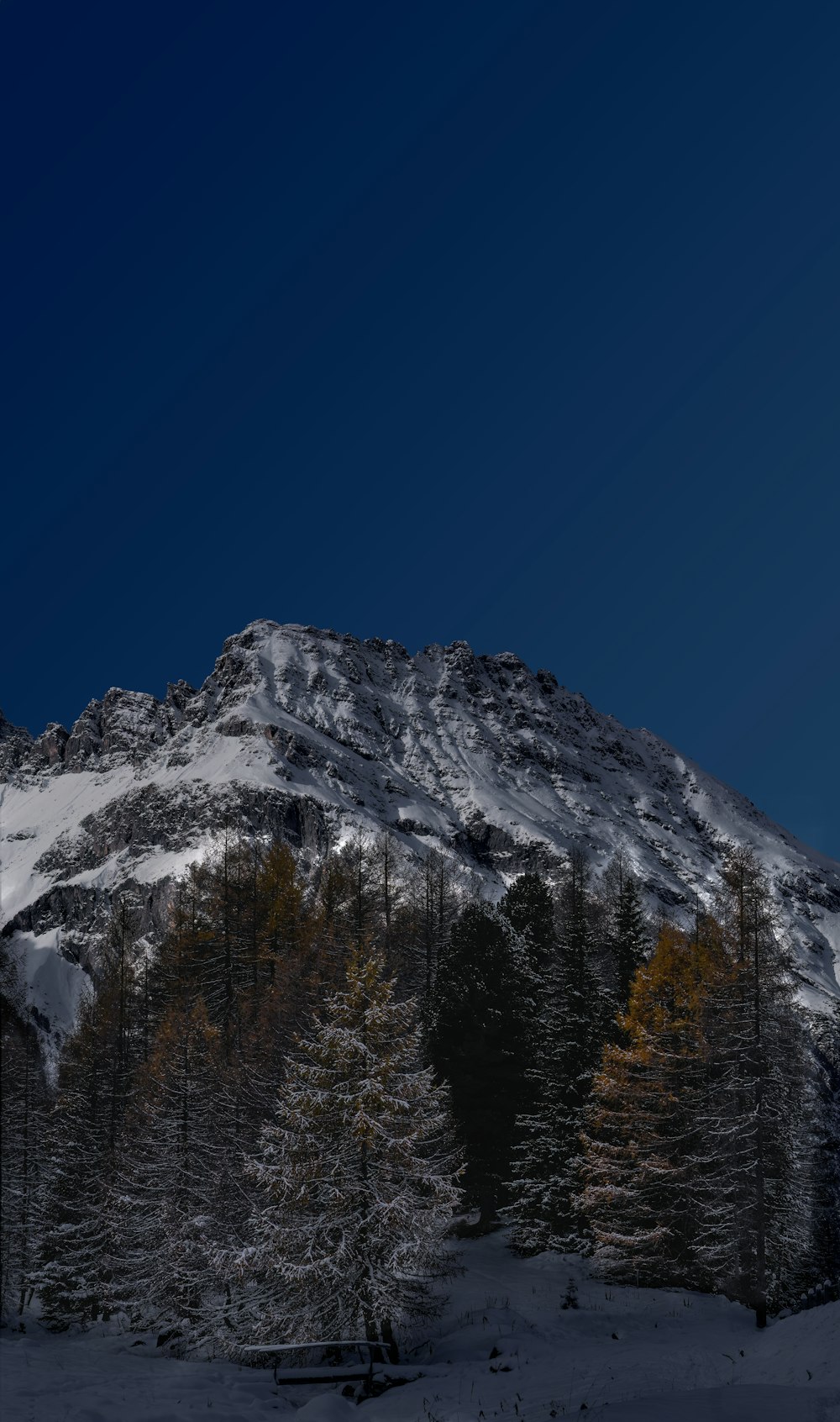 a snow covered mountain with trees in the foreground