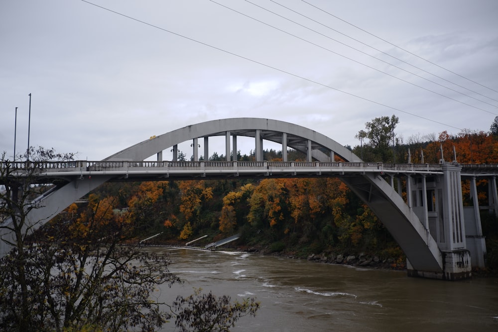 a bridge over a river surrounded by trees