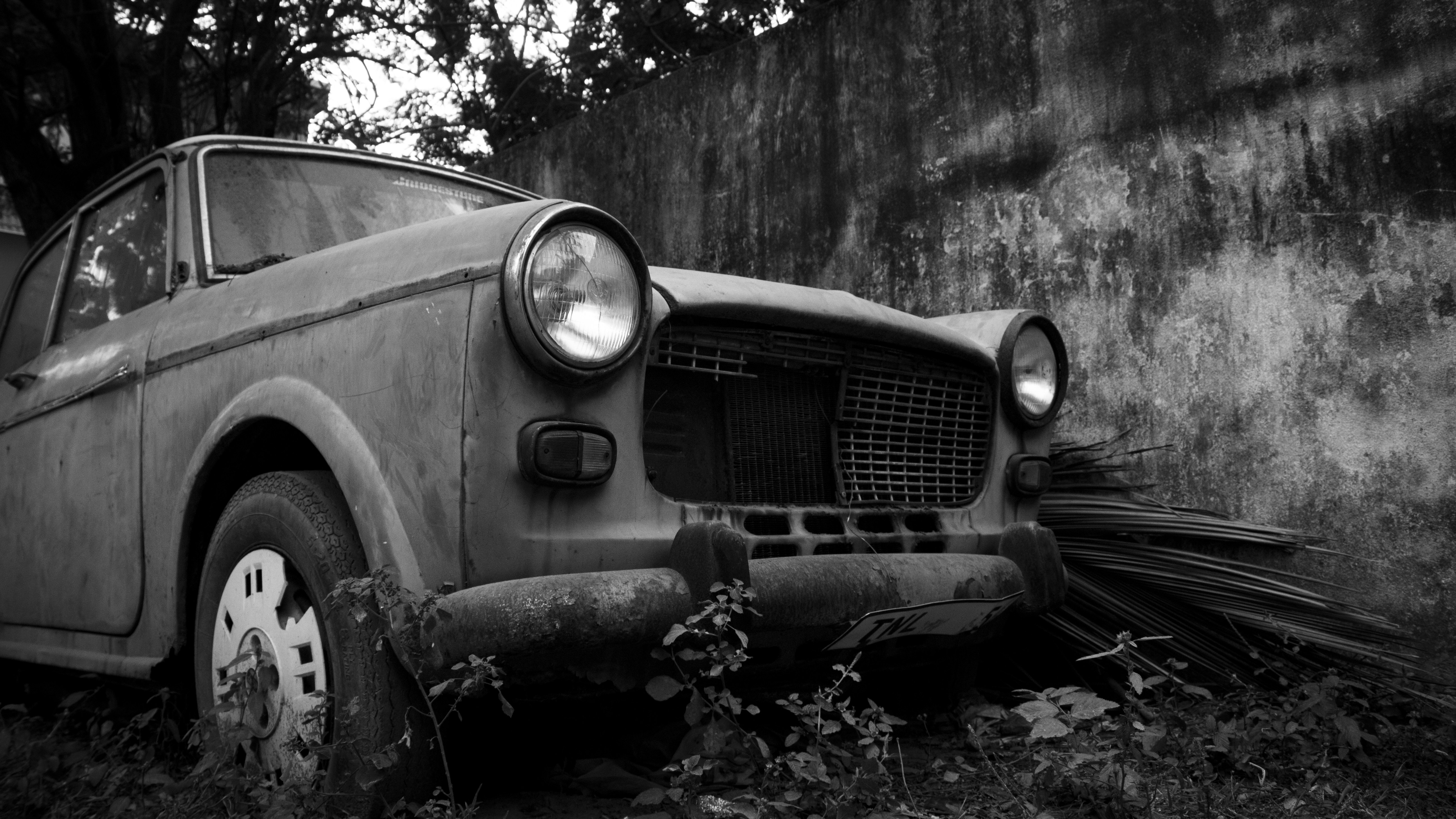 Photo by pon_esakki_sundar