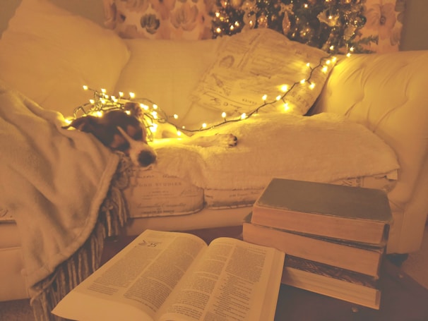 A cozy setting with a dog sleeping peacefully on a couch, wrapped in a blanket and adorned with warm fairy lights. In the foreground, several books are stacked with an open book resting on top. A Christmas tree with ornaments is partially visible in the background.