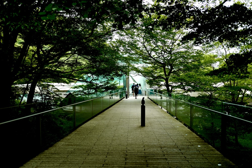 two people walking down a walkway in a park