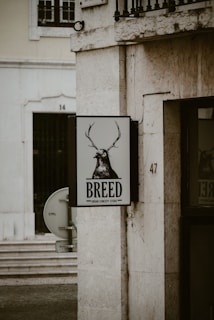 A street scene featuring the exterior of a building with stone walls and metal railings. A sign for an urban concept store called 'Breed' displays an illustration of a deer with antlers. The surrounding architecture, including a satellite dish, conveys an urban atmosphere.