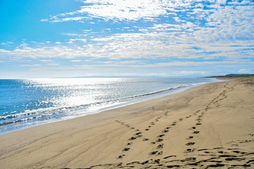 A sunlit beach with turquoise waves gently lapping the shore, footprints trailing into the distance.