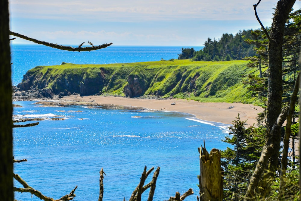 a view of a beach from a distance