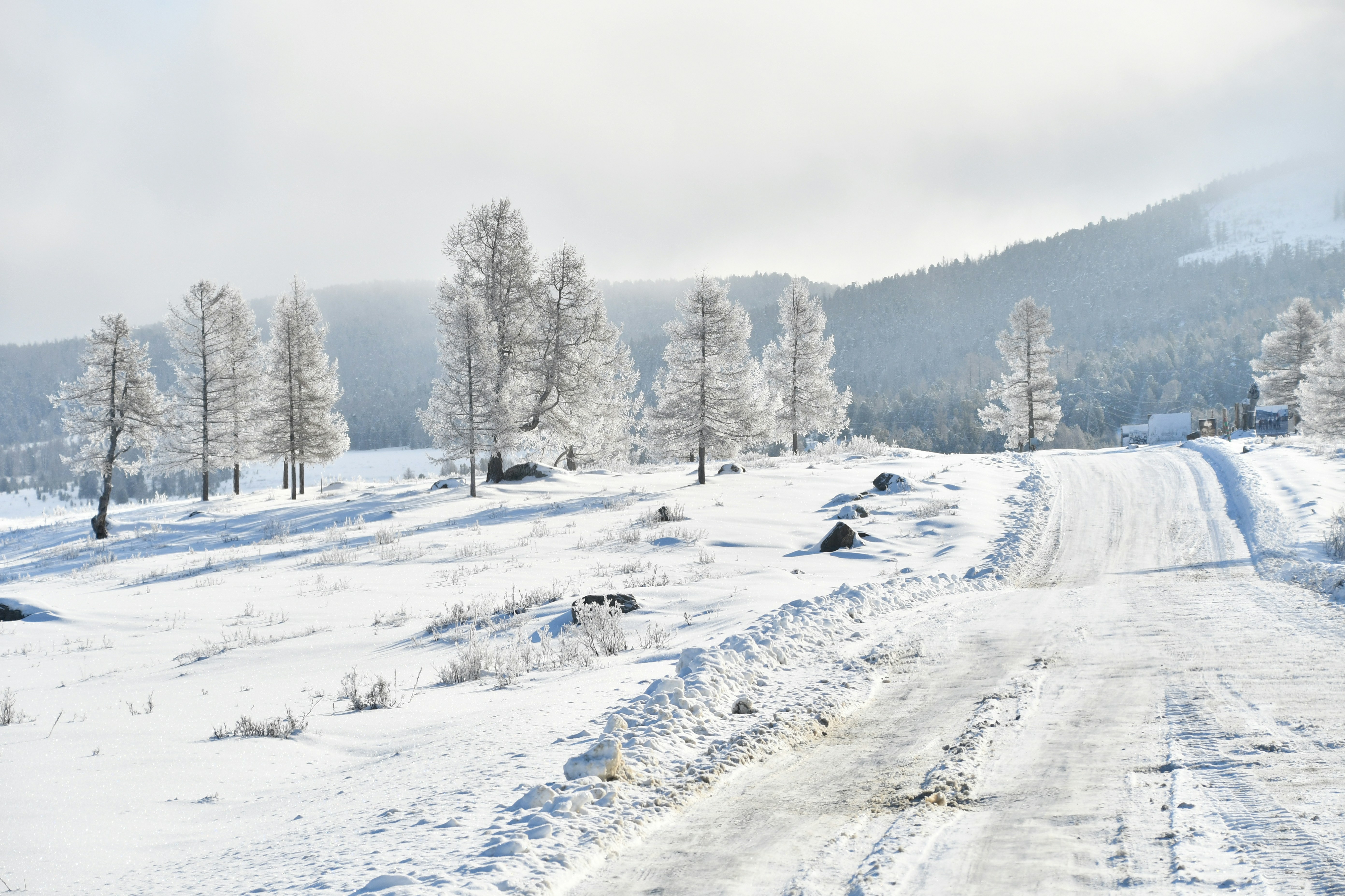 a snow covered road in the middle of a forest