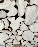 A collection of variously shaped wooden slices with a whitewashed surface, displaying unique textures and organic patterns. The arrangement is random and resembles abstract art with visible grain and cracks that create a rustic aesthetic.