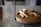 A serene kitchen scene with fresh herbs and spices on a wooden countertop.