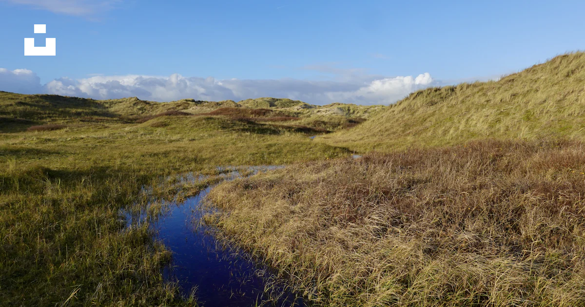 A stream running through a grassy field under a blue sky photo – Free ...