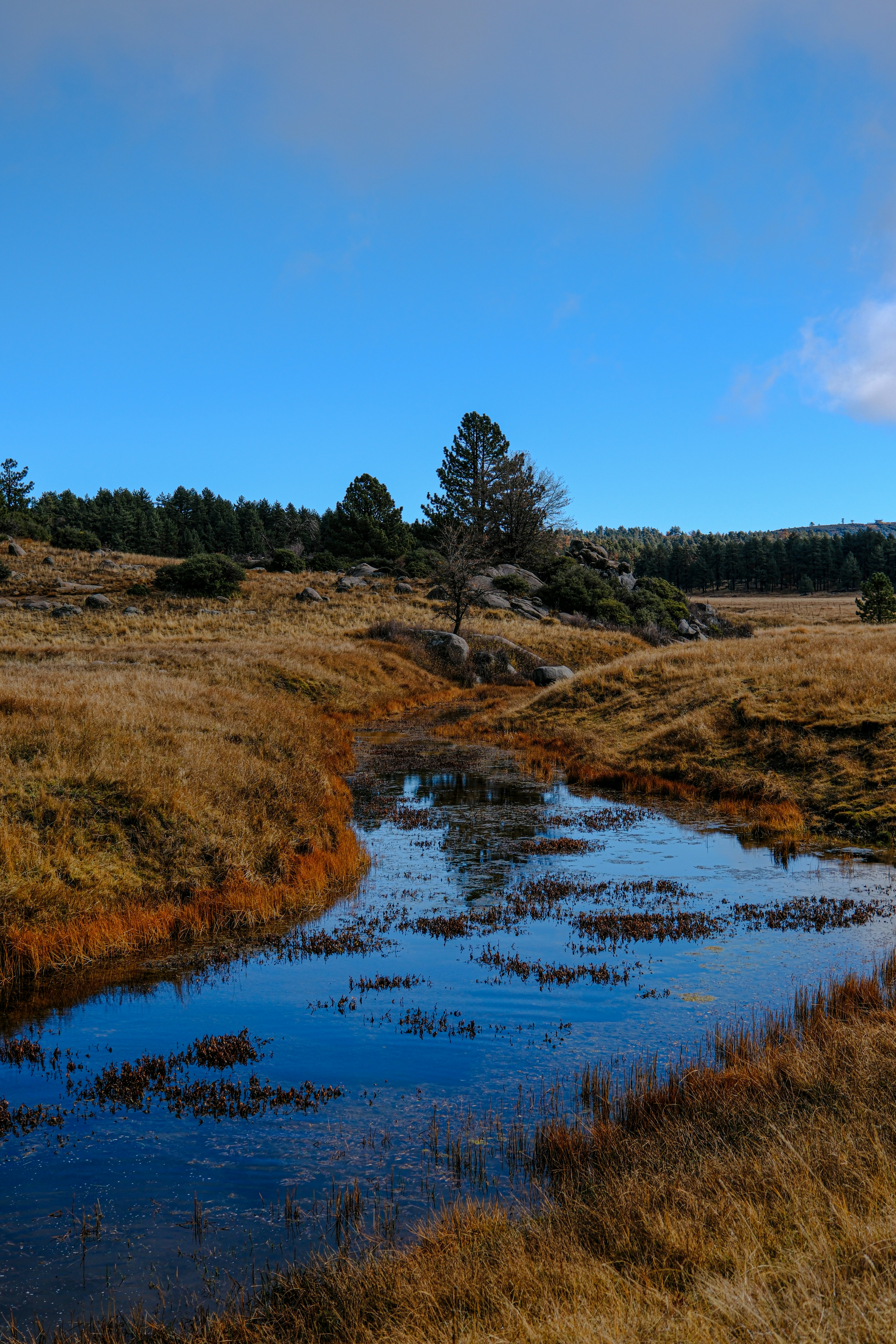 a small stream running through a dry grass field