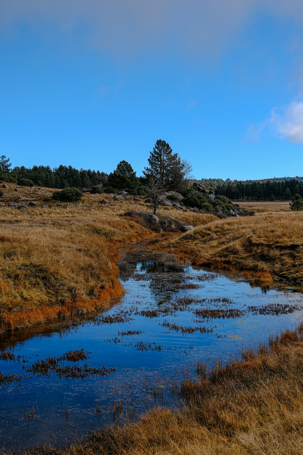 a small stream running through a dry grass field