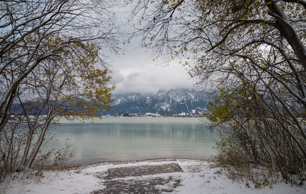 um lago cercado por árvores cobertas de neve com montanhas ao fundo