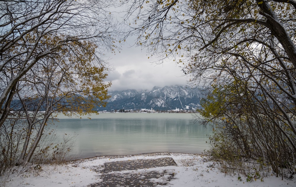 a lake surrounded by snow covered trees with mountains in the background