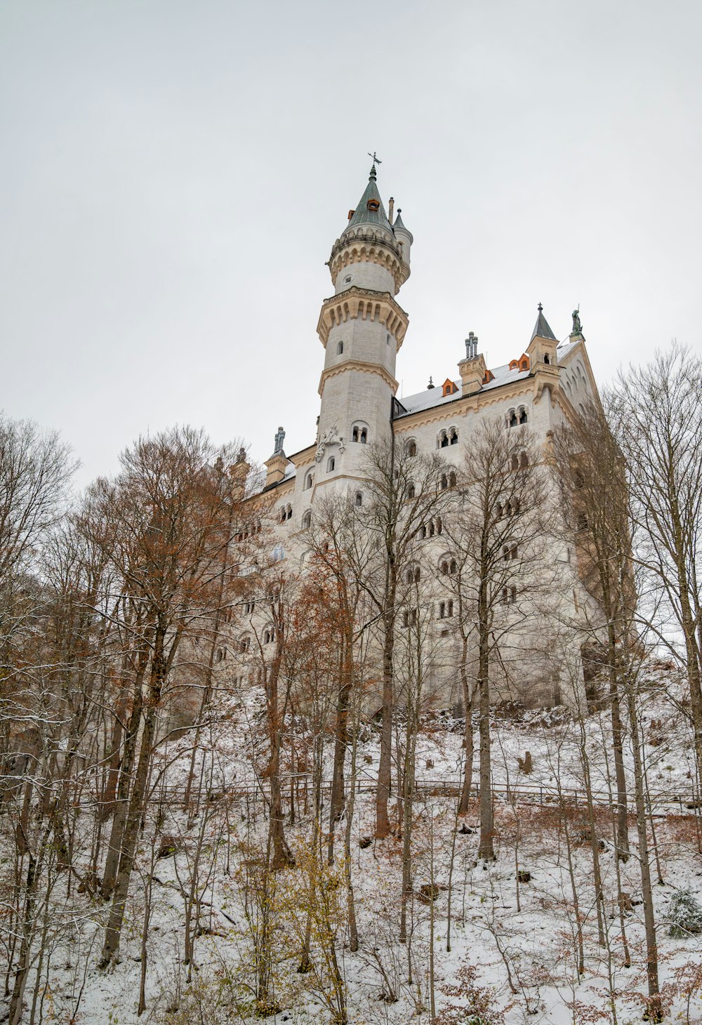 a large castle with a tower surrounded by trees