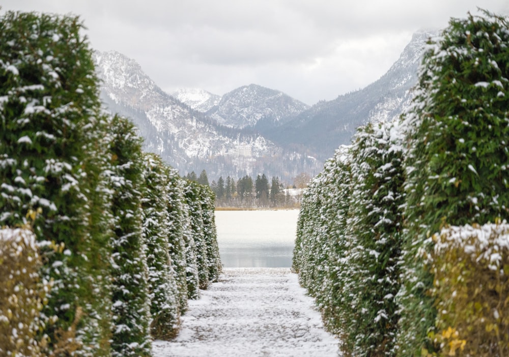 a snow covered path leading to a mountain lake