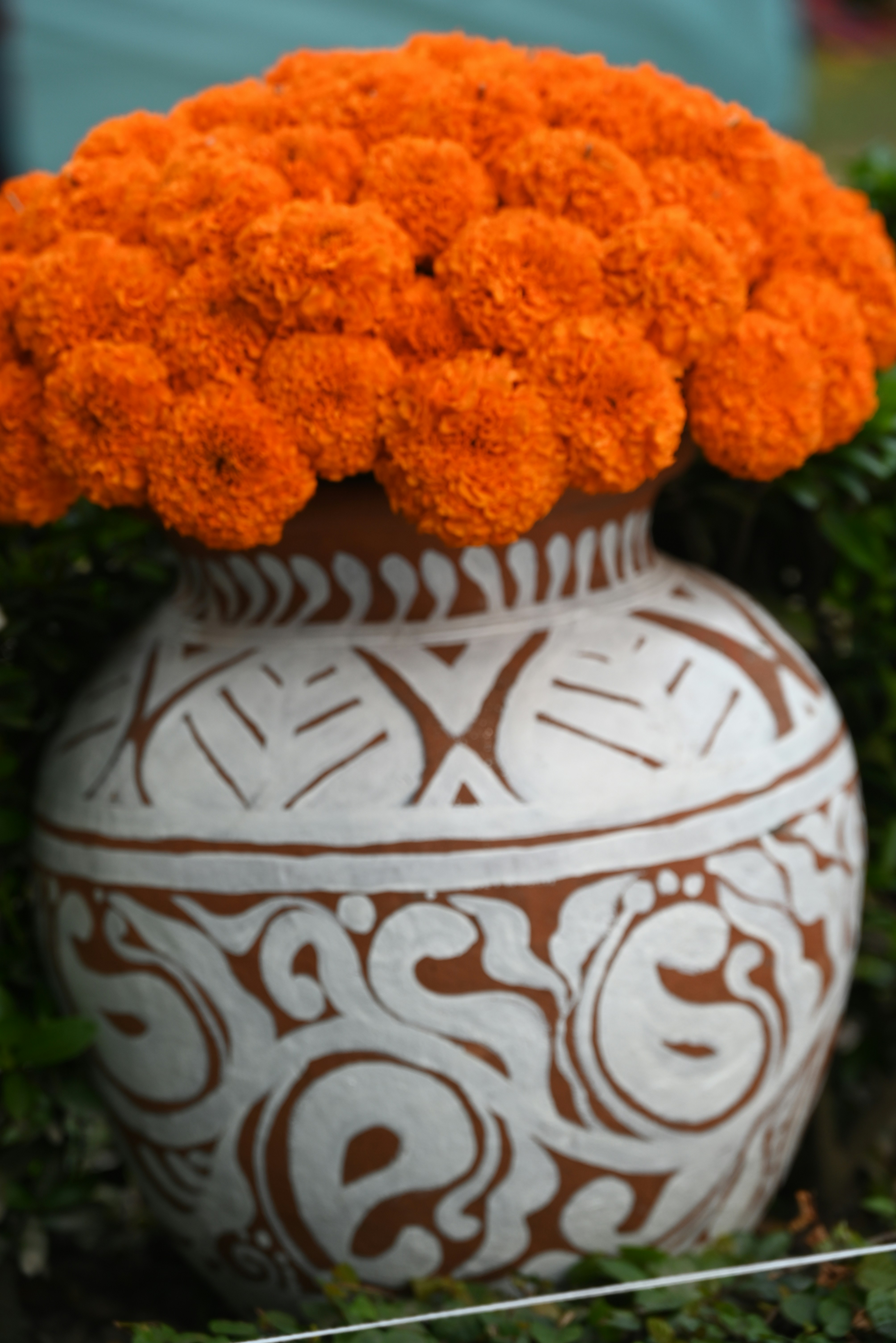 a white vase with orange flowers in it
