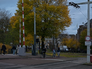 A street scene featuring several cyclists riding along a tree-lined path. The trees display autumn foliage with vibrant yellow leaves. There are also pedestrians walking on the path. The sky is overcast, suggesting a cloudy day. Street signs, a van, and buildings are visible in the background.