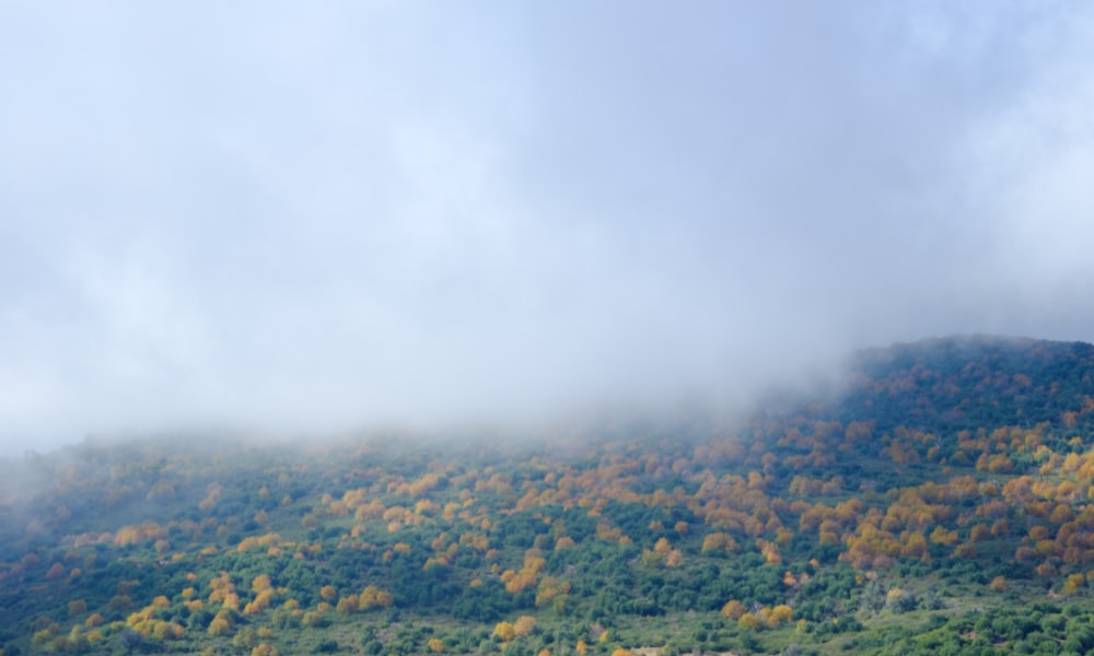 une montagne couverte de nuages et d’arbres