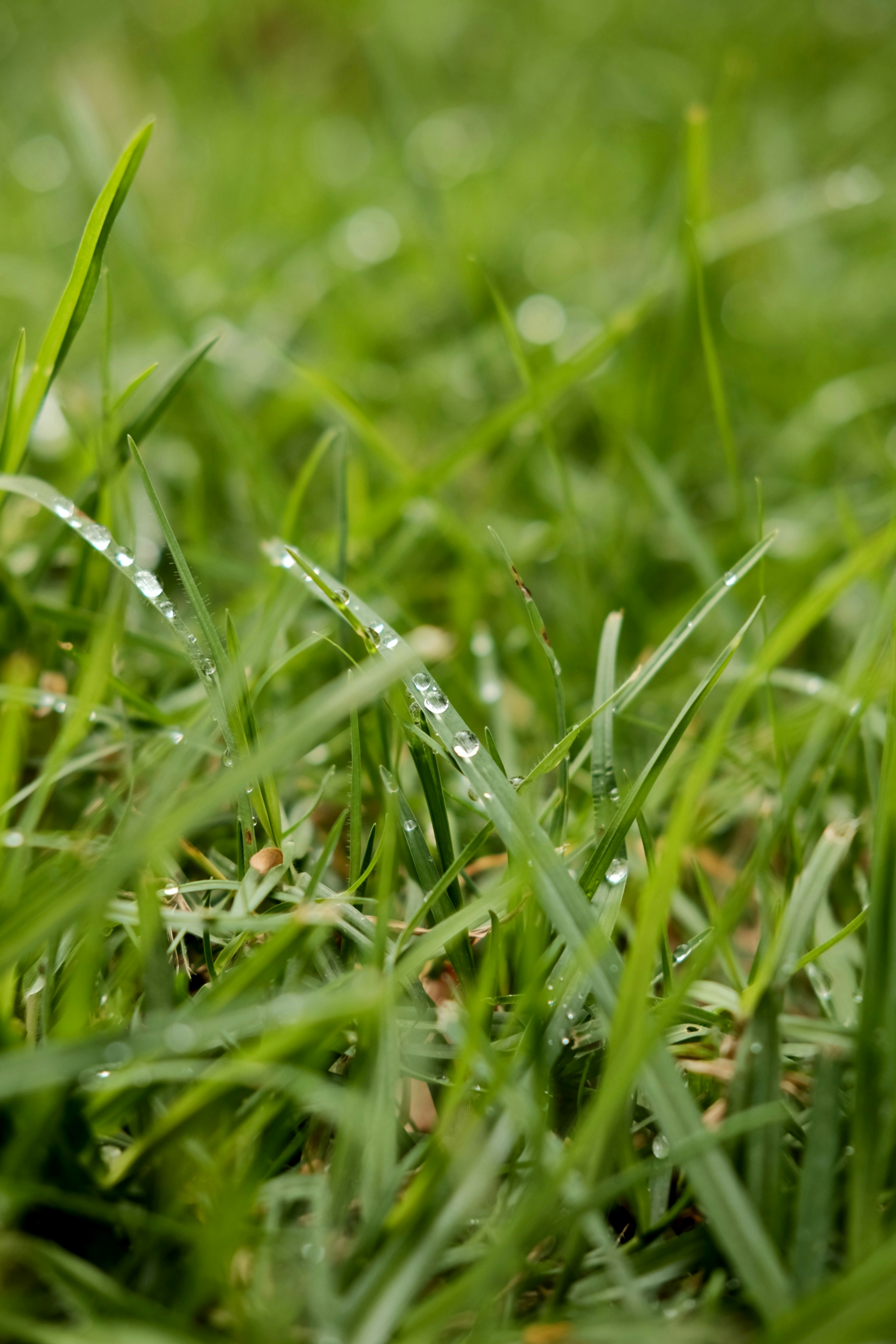 Photo by johnnyvillamar