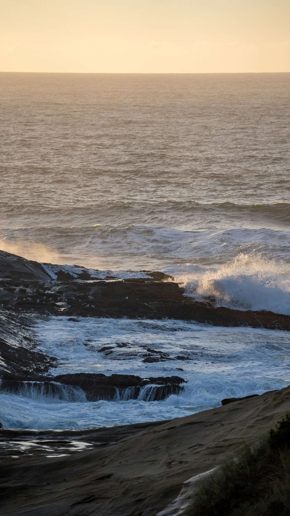 a person standing on a rocky beach next to the ocean