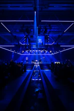 An elegant stage setup with a magician mid-performance, surrounded by a deep blue and red ambiance.