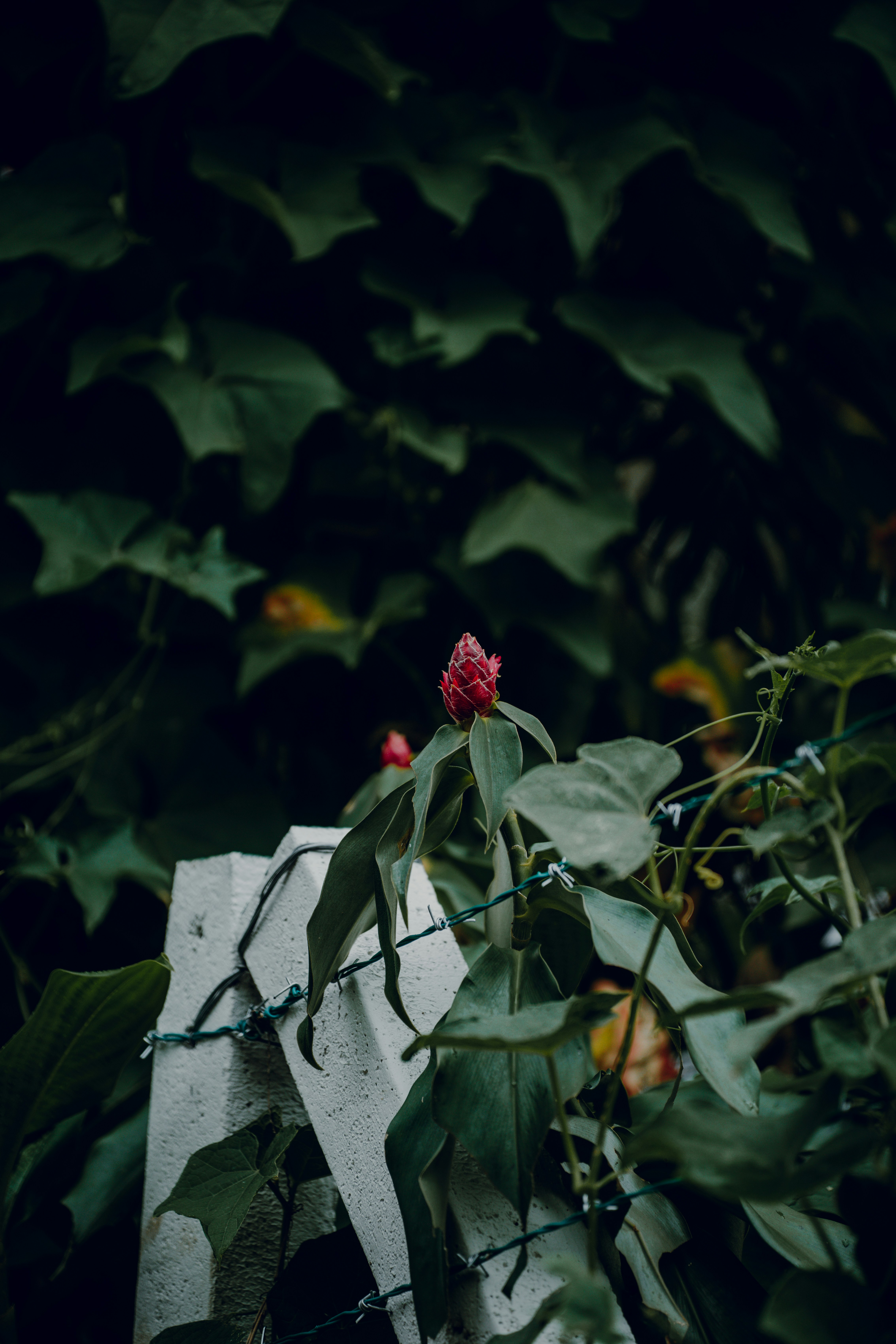 Photo by elianna_gill03