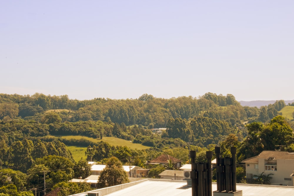 a view of a city with a lot of trees