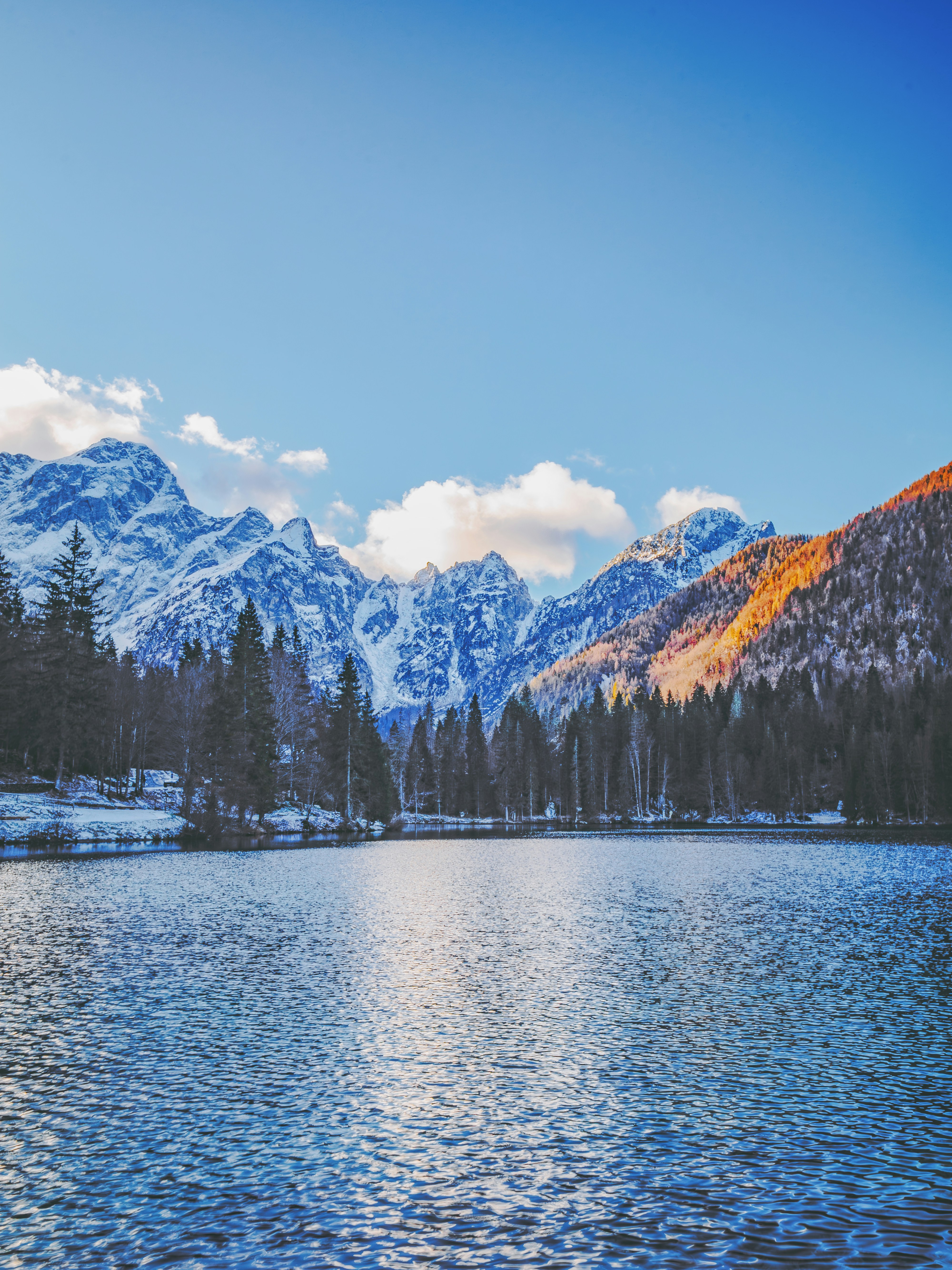 Photo by merlin_photo