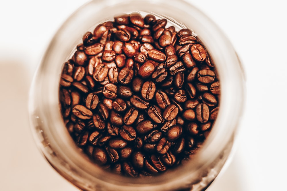 a cup filled with coffee beans on top of a table