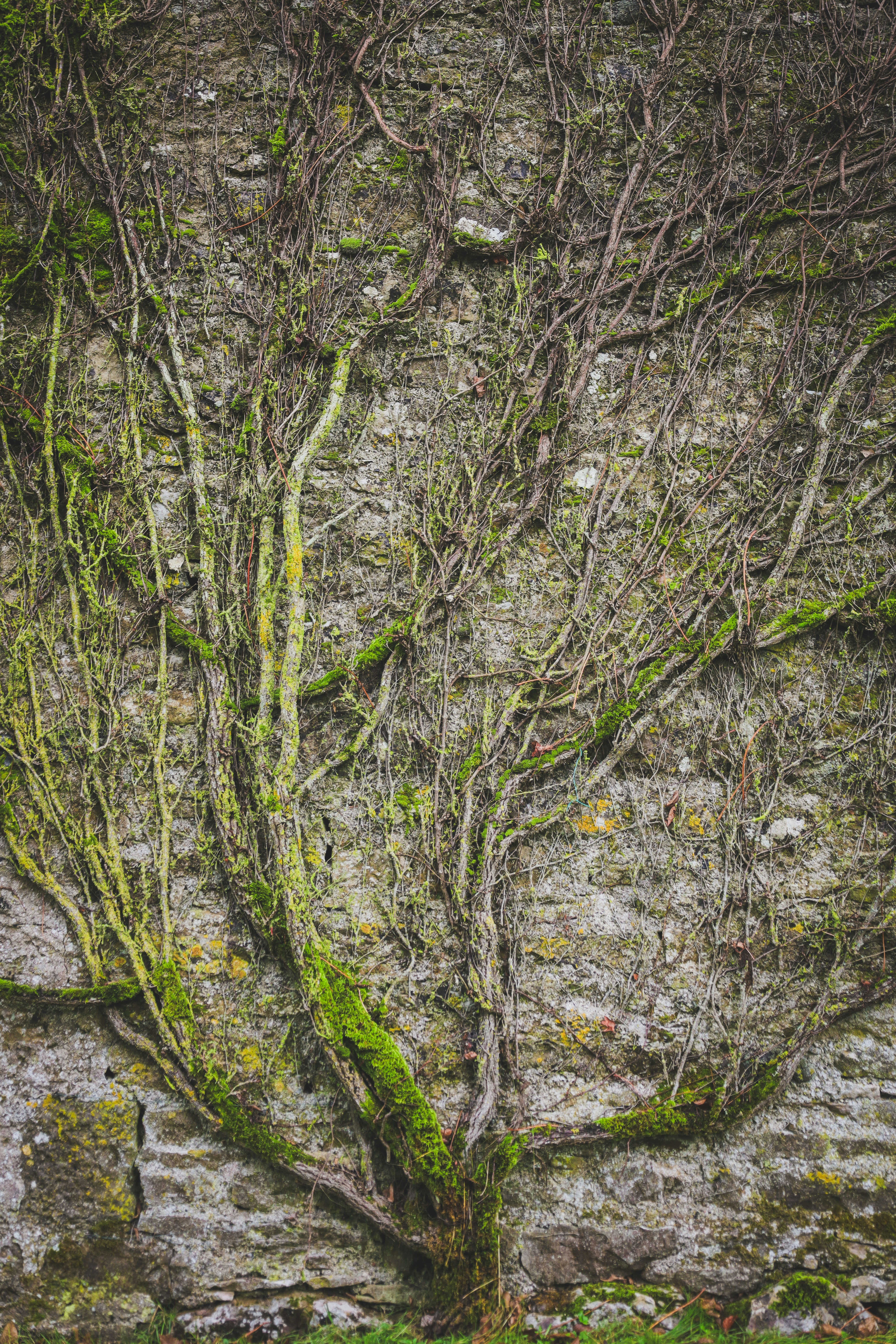 Photo by denleyphotography