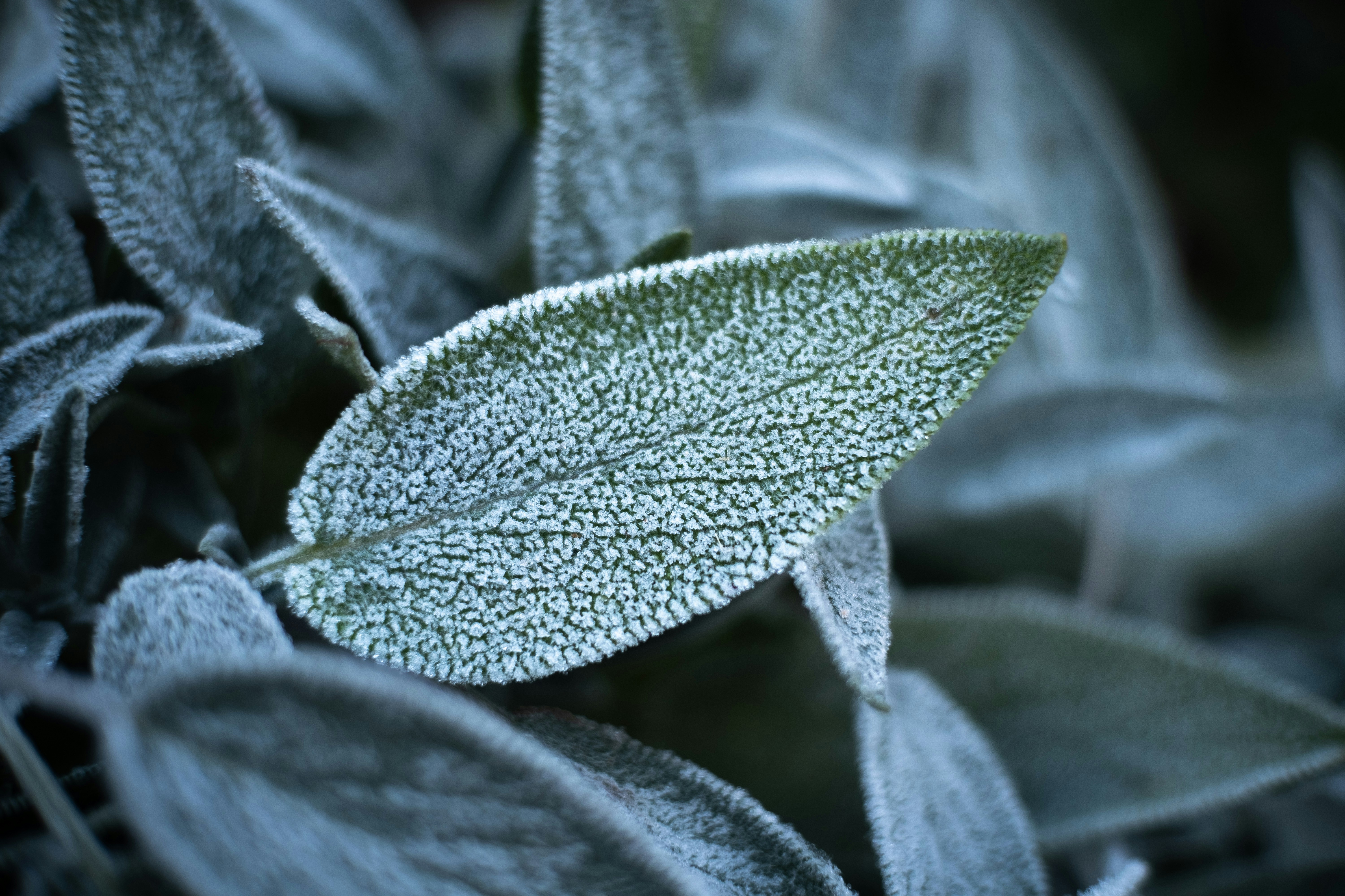 Photo by sevencolors