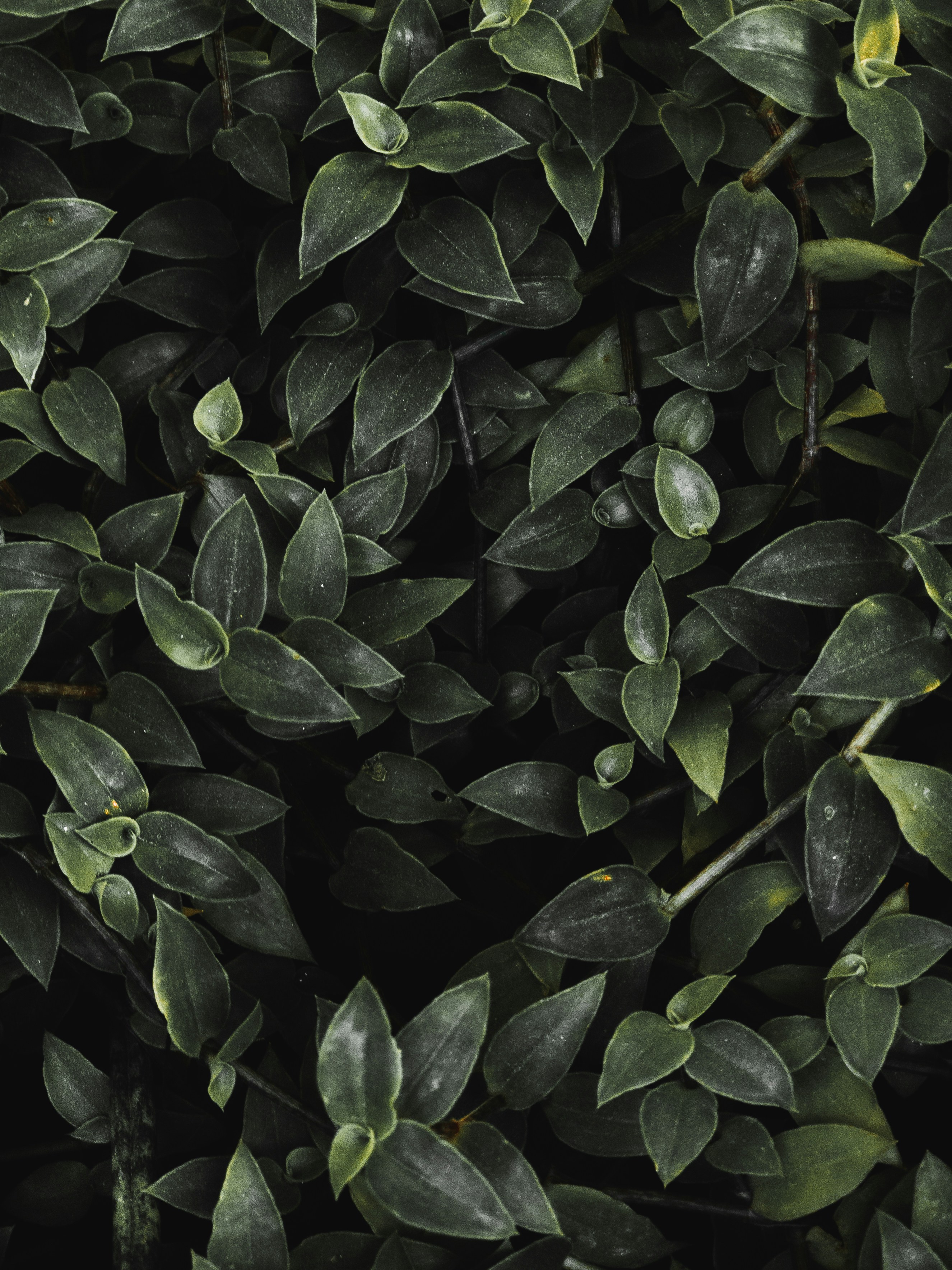 Photo by amritanshdubey