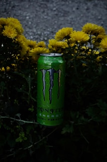 A green can of Monster Energy drink rests among vibrant yellow flowers. The can features bold, dark branding text and sits against a backdrop of lush green leaves and flower stems, with a hint of gravel in the background.