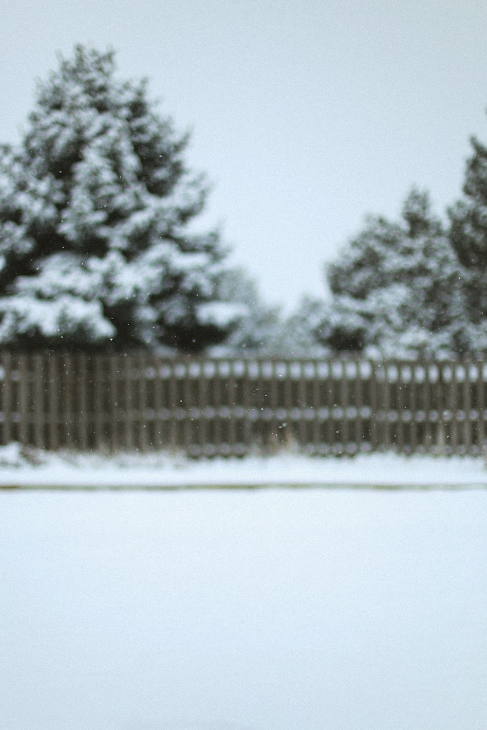 a person riding a snowboard on a snowy surface