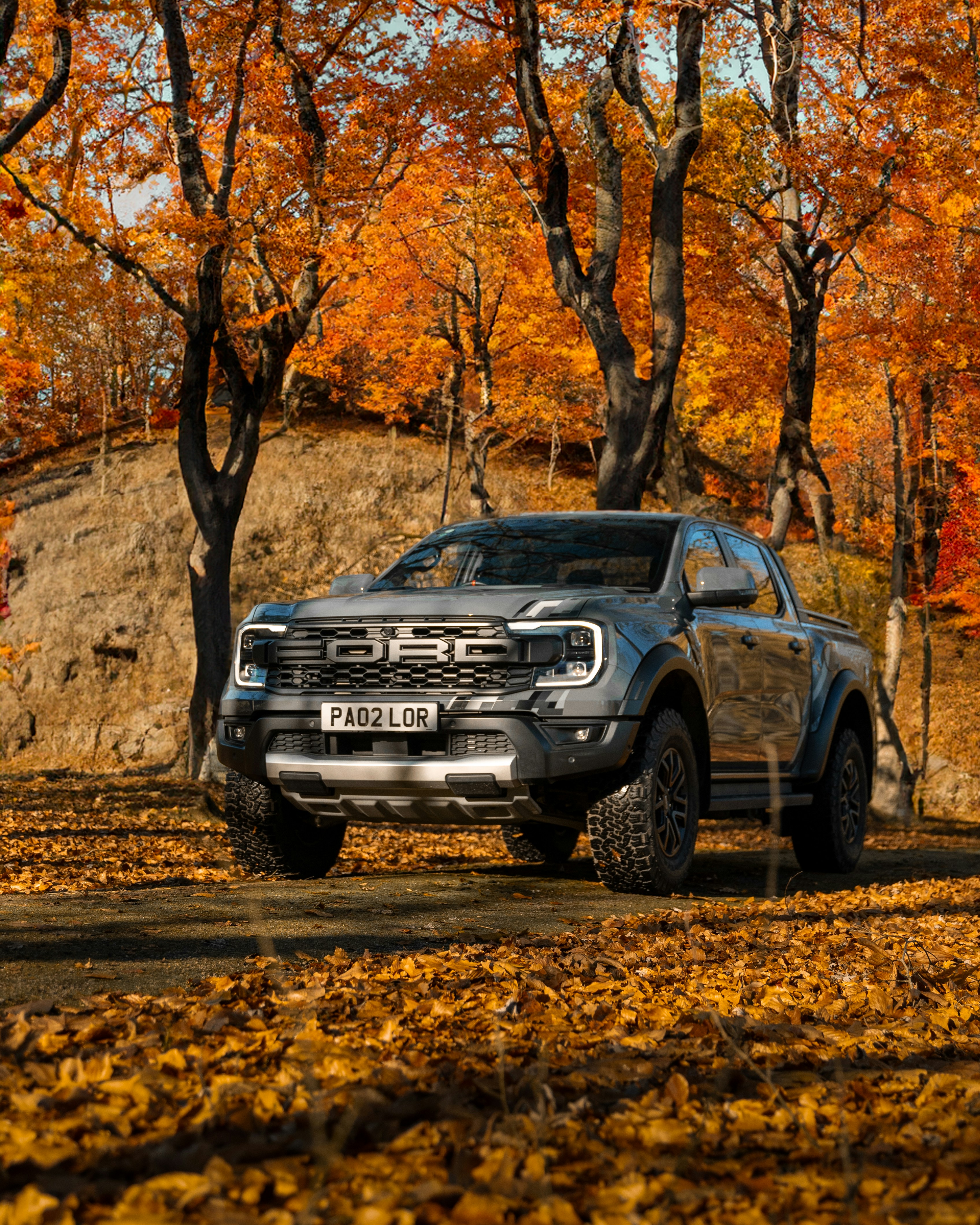Rustic 2015 Ford Pickup