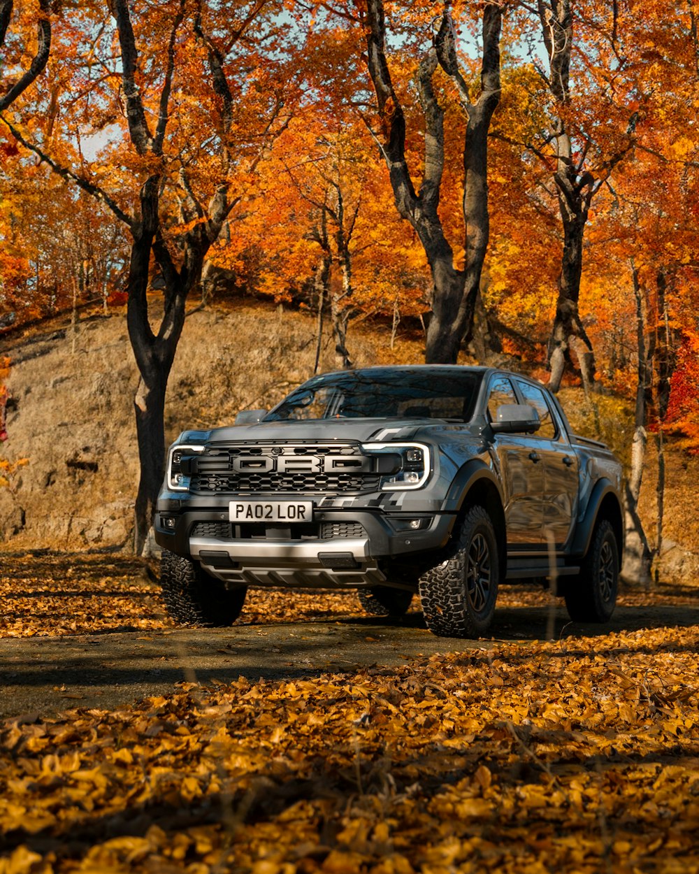 a truck is parked on a leaf covered road