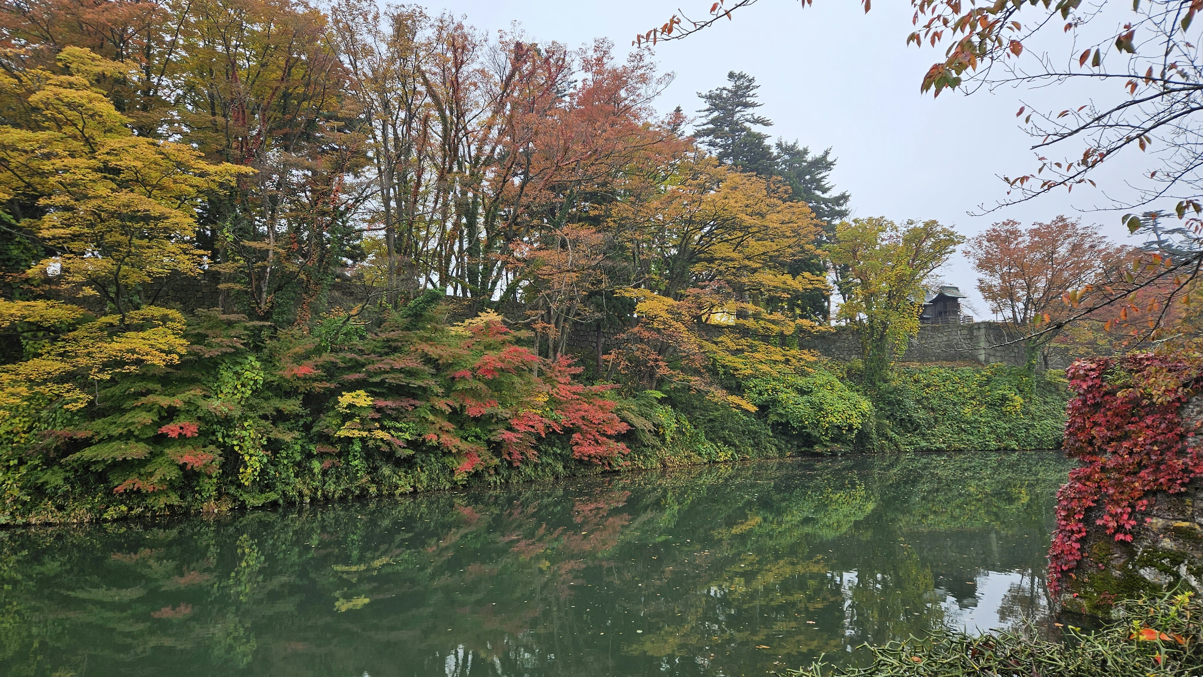 a body of water surrounded by lots of trees, riverbank house