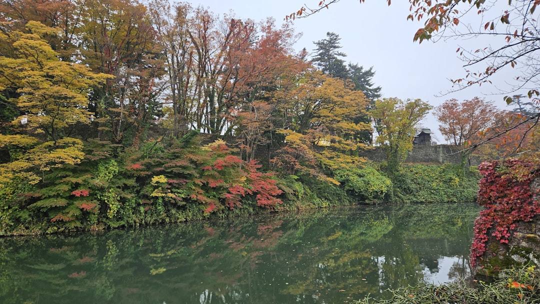 a body of water surrounded by lots of trees, riverbank house