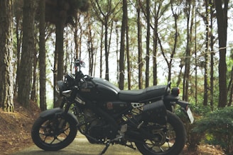 A black motorcycle is parked on a path surrounded by tall pine trees in a forest. The sunlight filters through the branches, casting dappled shadows on the ground. The scene appears tranquil and secluded, providing a sense of adventure and connection with nature.